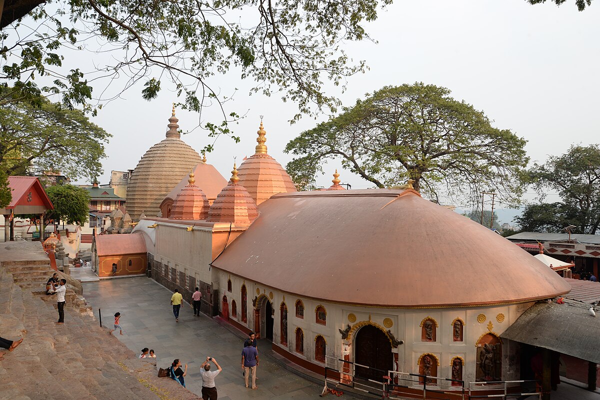 Chhinnamasta Devi Puja and Havan at Kamakhya Temple - Rudra Centre