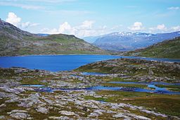 Katterjaure från söder från norsk-svenska gränsen.