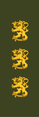 KenraaliluutnanttiGenerallöjtnant[20](Finnish Army)