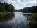 Teich an der Mühle