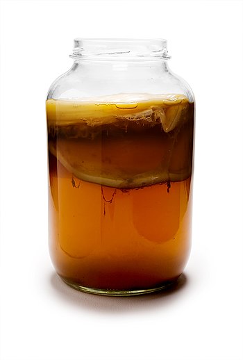 English: Mature Kombucha