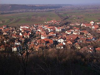 <span class="mw-page-title-main">Kovilovo (Negotin)</span> Village in Bor District, Serbia
