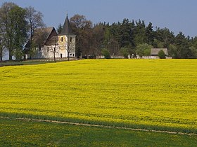 Ves : champ de colza, église.