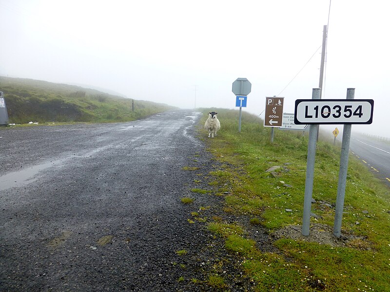 File:L10354 Road at Gannew ^ Curreen - geograph.org.uk - 3534274.jpg