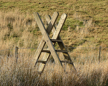 Ladder stile in Snowdonia