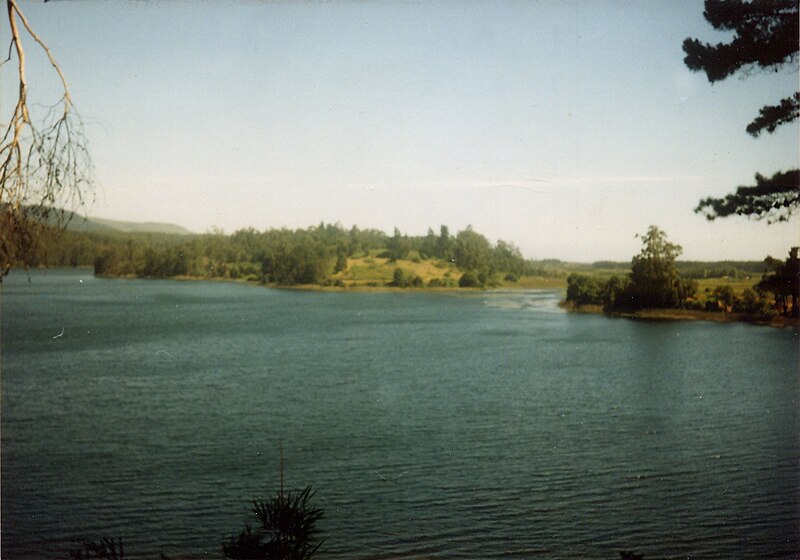 File:Laguna San Pedro 1994.jpg