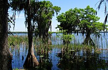 View of Lake Russell, one of the last undeveloped lakefronts in Central Florida. Lake Russell view (13947327898).jpg