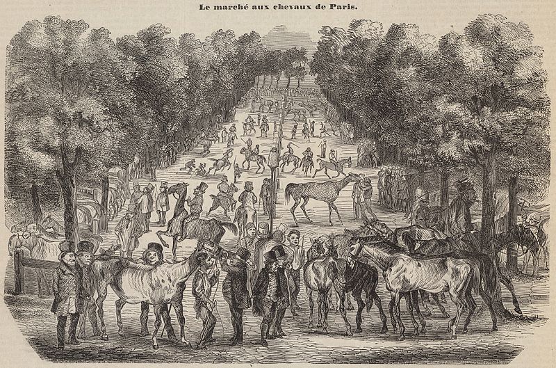 File:Le marché aux chevaux de Paris, 1853.jpg