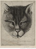 Vignette pour Le Vray Portrait du chat du grand-duc de Moscovie