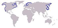 Distribuição da foca-comum