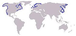 Distribución de P. vitulina