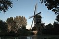 de molen tussen het groen