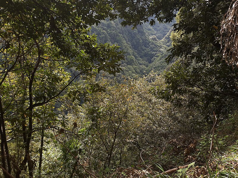 File:Levada do Rei, Madeira, PR 10, look down into valley.jpg