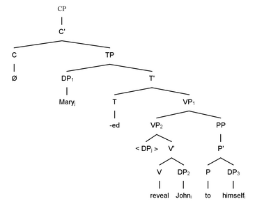 Example (2a) "Mary revealed John to himself" Locality (linguistics) 2a.png