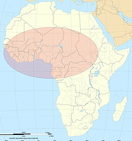 Výskyt v Afrike