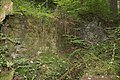 * Nomination Wall remains of the "Lochmühle". The mill was destroyed by flood on June 5, 1895. Gauchach gorge --Llez 05:56, 5 October 2020 (UTC) * Promotion Good quality --Michielverbeek 06:28, 5 October 2020 (UTC)