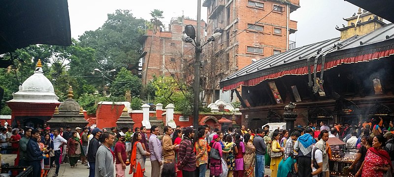 File:Long queue of devotees to enter mandir.jpg