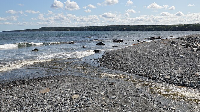 Lower Pond Flowing into Witless Bay