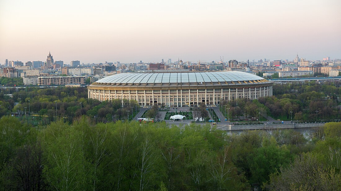 Лужники (стадион)