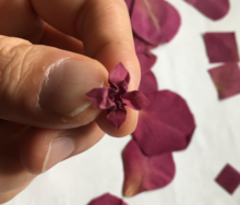 Origami flower made from flower petal - photo taken by author of article