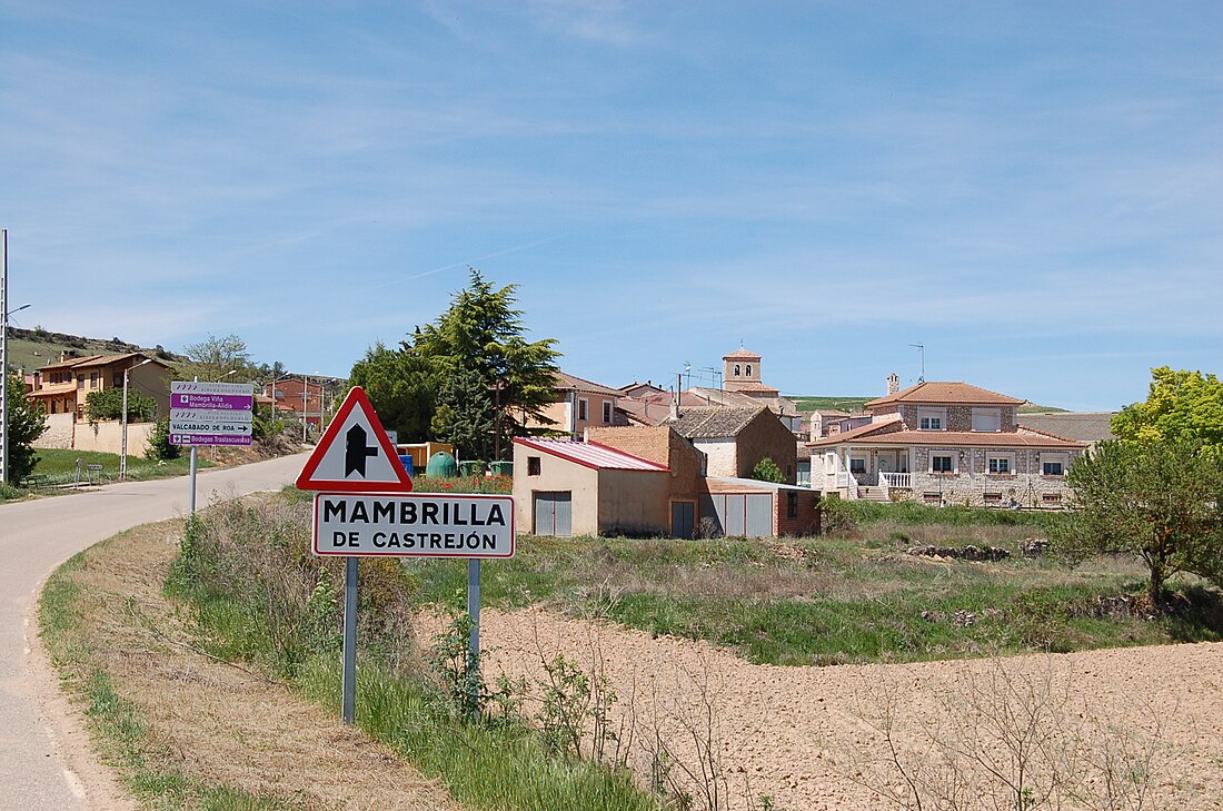 Mambrilla de Castrejón