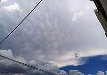 Cumulonimbus incus mamma Mammatus clouds in anvil cloud.jpg