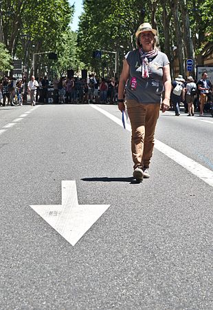 Français : Manifestation contre la loi travail à Toulouse, le 23 juin 2016 English: Demonstration against French labour law in Toulouse, June 23, 2016