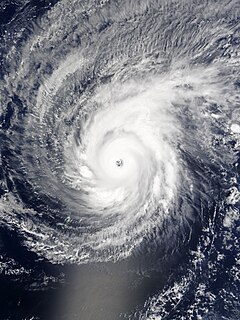 Typhoon Maysak (2015) Pacific typhoon in 2015