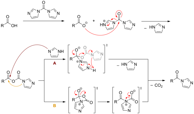 Mechanism for the activation of carboxylic acids by means of CDI