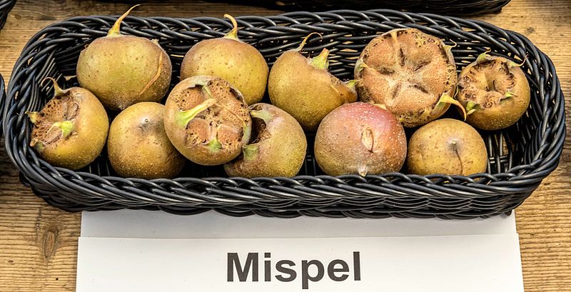 File:Mispel jm55216.jpg