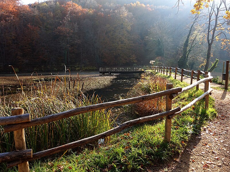 File:Mittlerer Weiher.jpg