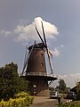 Molen De Engel