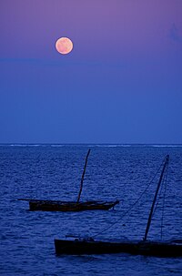 Moonlit boats in Mombasa