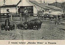 Morska Wola, Polish settlement in Brazil Morskawola.JPG