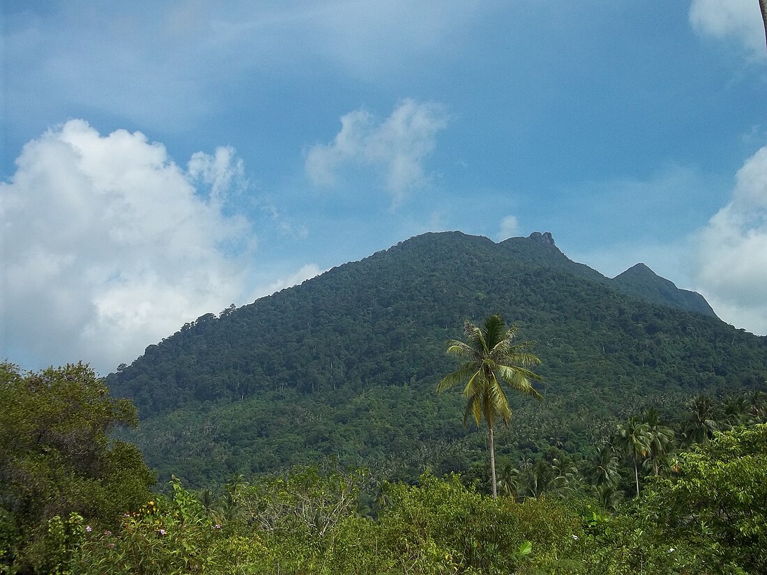 Îles Natuna