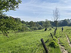 Murmelbach fließt im offenen Wiesental