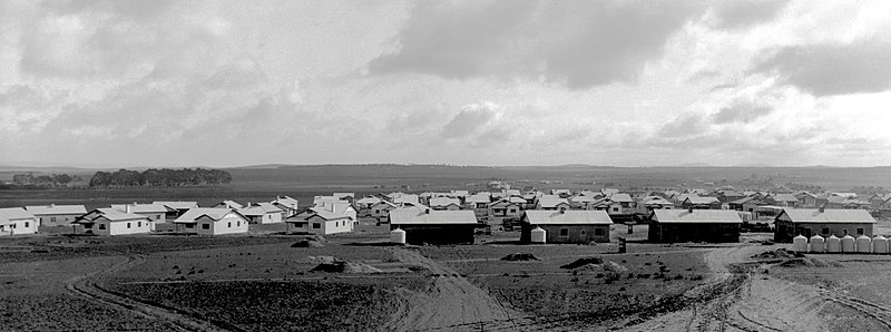 File:Newly built South Australian Railways employee cottages in Peterborough, South Australia, 1926.jpg