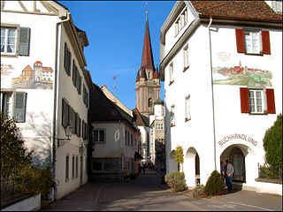 <span class="mw-page-title-main">Radolfzell</span> Town in Baden-Württemberg, Germany