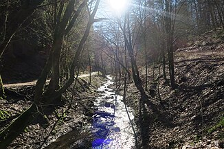 Upper course of the Bömericher Bach north of Bömerich