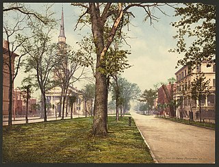 <span class="mw-page-title-main">Oglethorpe Avenue</span> Prominent street in Savannah, Georgia