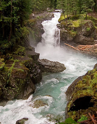 <span class="mw-page-title-main">Ohanapecosh River</span> River in Washington, United States