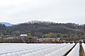 2019年3月16日 (土) 09:52時点における版のサムネイル