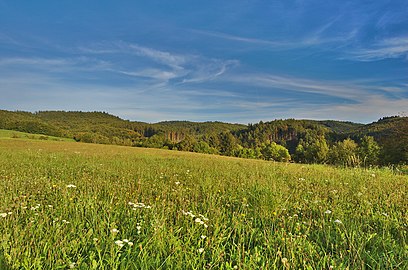 Parc naturel Bohdalov-Hartinkov.