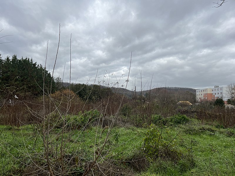 File:PC 0011376121A0028, rue Doury (Saint-Maurice-de-Beynost) - parcelle (décembre 2022).JPG