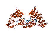 PDB 1xqs EBI.jpg