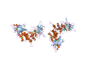 1ygr: ساختار کریستالی دومِـین دوتاییِ فسفاتاز در RPTP CD45