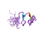 2jm4: The solution NMR structure of the relaxin (RXFP1) receptor LDLa module.