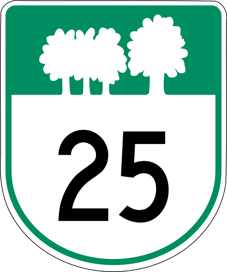 25 svg. Википедия 25.