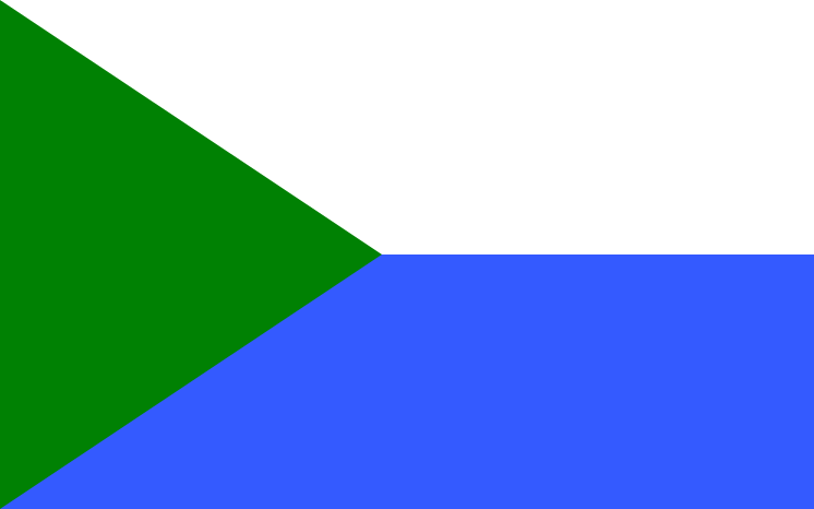 File:POL Blachownia flag.svg