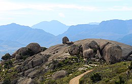 Boland Granite Fynbos can be seen on the Granite domes of Paarl mountain.